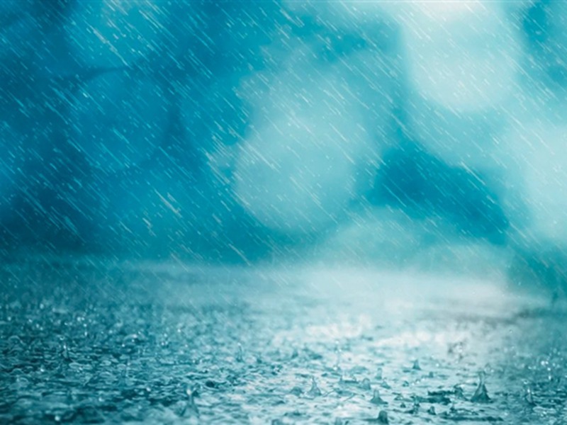 s_3aa8b26cc5854cbd82c74b271649a4a4.jpg/